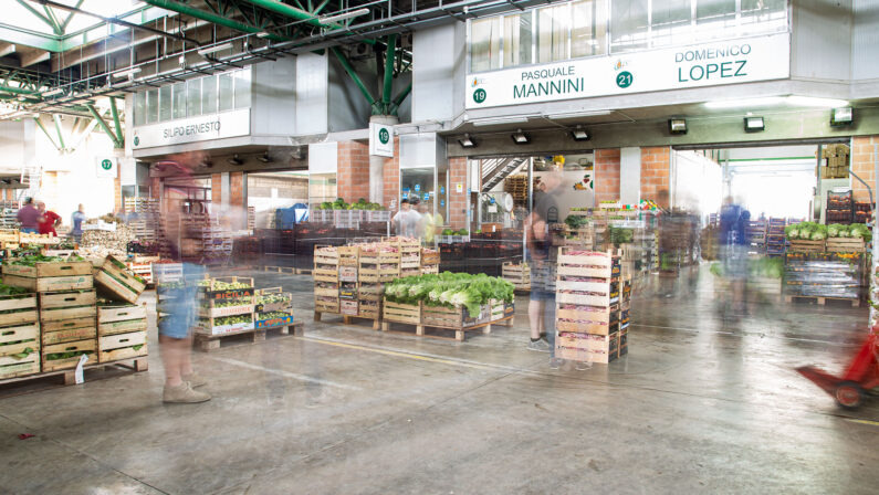 Intimidazione al centro agroalimentare di Catanzaro, furti e danneggiamenti