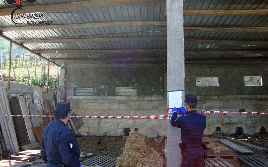 Il sequestro di Buonvicino