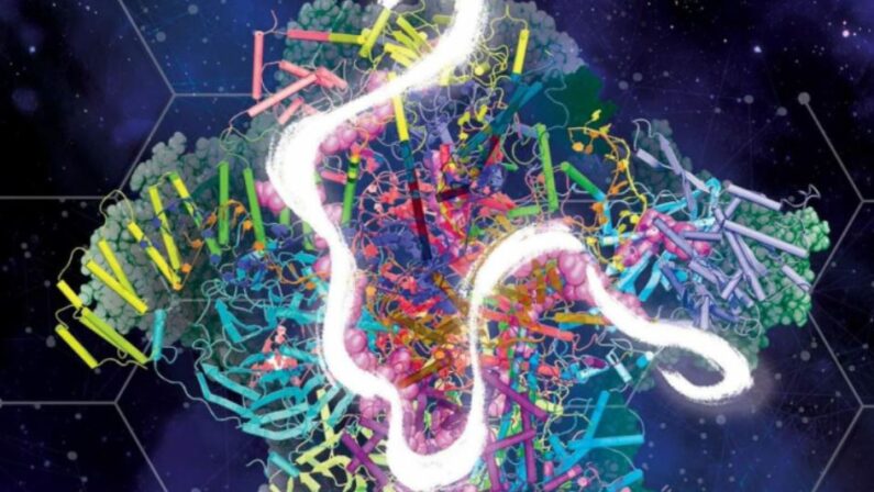 Spliceosoma, come si propaga l’informazione giusta nelle cellule