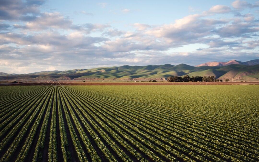 Sud, dall’agricoltura sociale un’opportunità di crescita