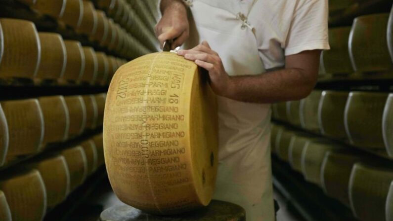 Al via nuovo progetto editoriale del Consorzio Parmigiano Reggiano