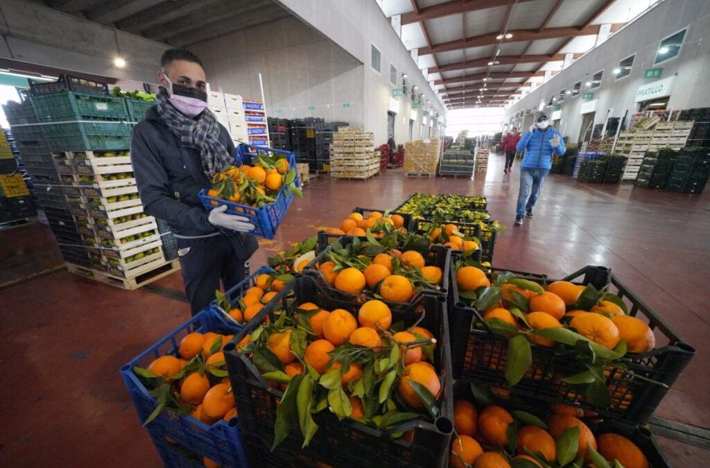Impatto Covid-19 e Green Deal le nuove sfide per l’agroalimentare