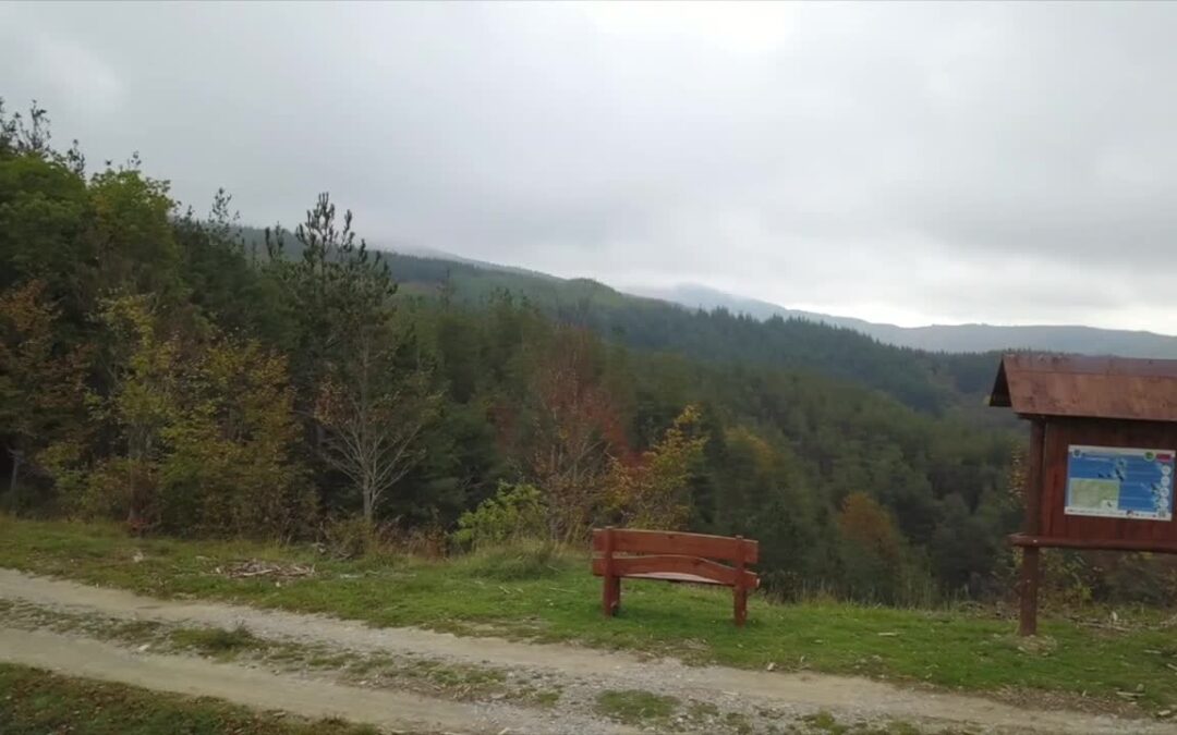 World Rainforest Day, Gran Cereale ripristina 6 boschi