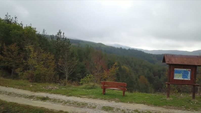 World Rainforest Day, Gran Cereale ripristina 6 boschi