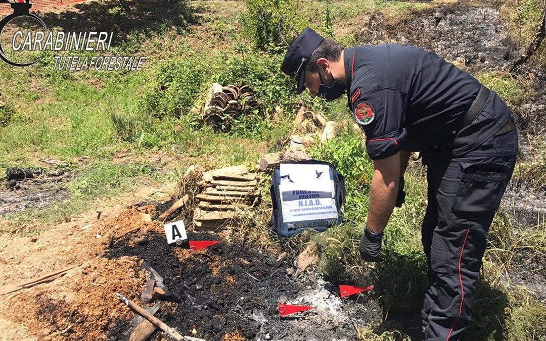 Il luogo di partenza dell'incendio
