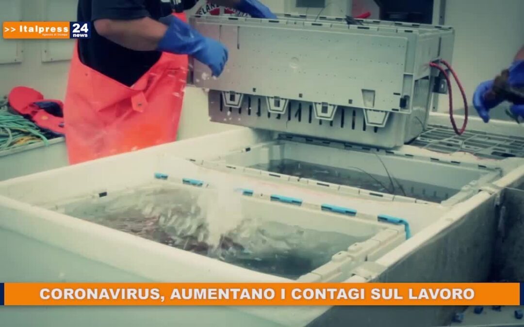 Tg News ore 13 – 16/6/2020