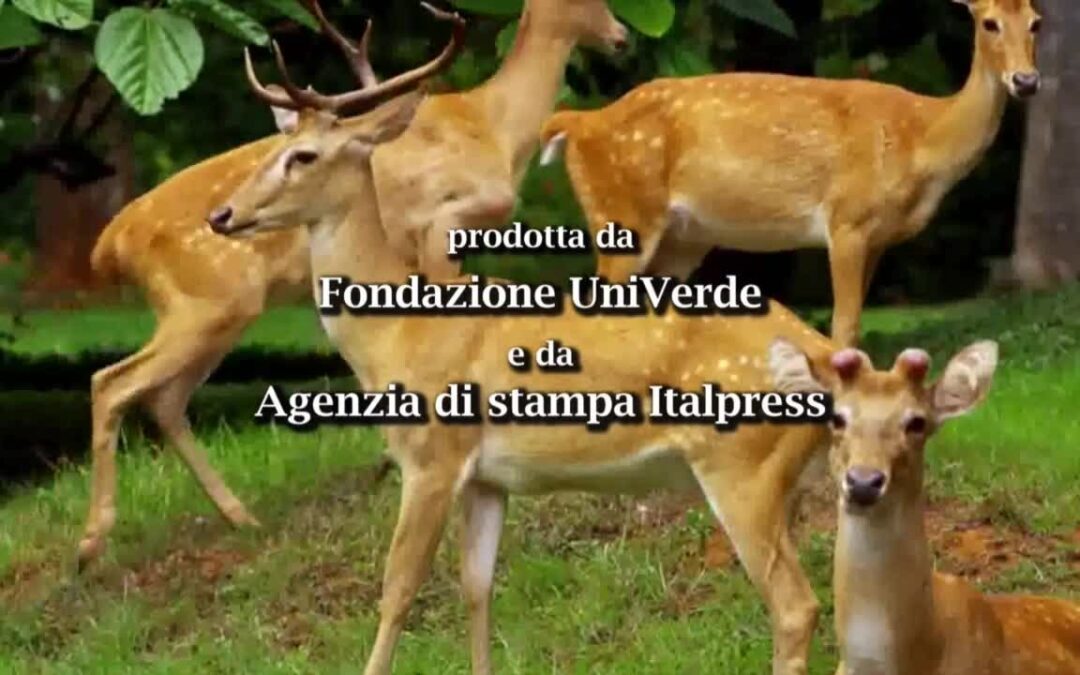 Madre Terra – Campania: Viaggiare e gustare.