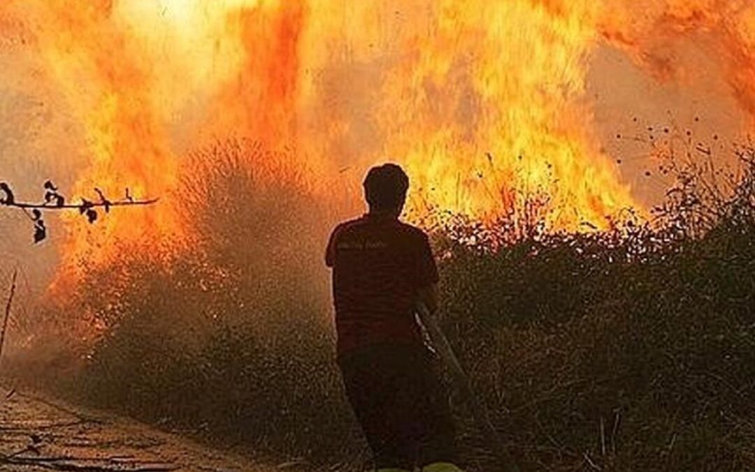 Lotta agli incendi boschivi: convenzione tra Vigili del Fuoco e Calabria Verde