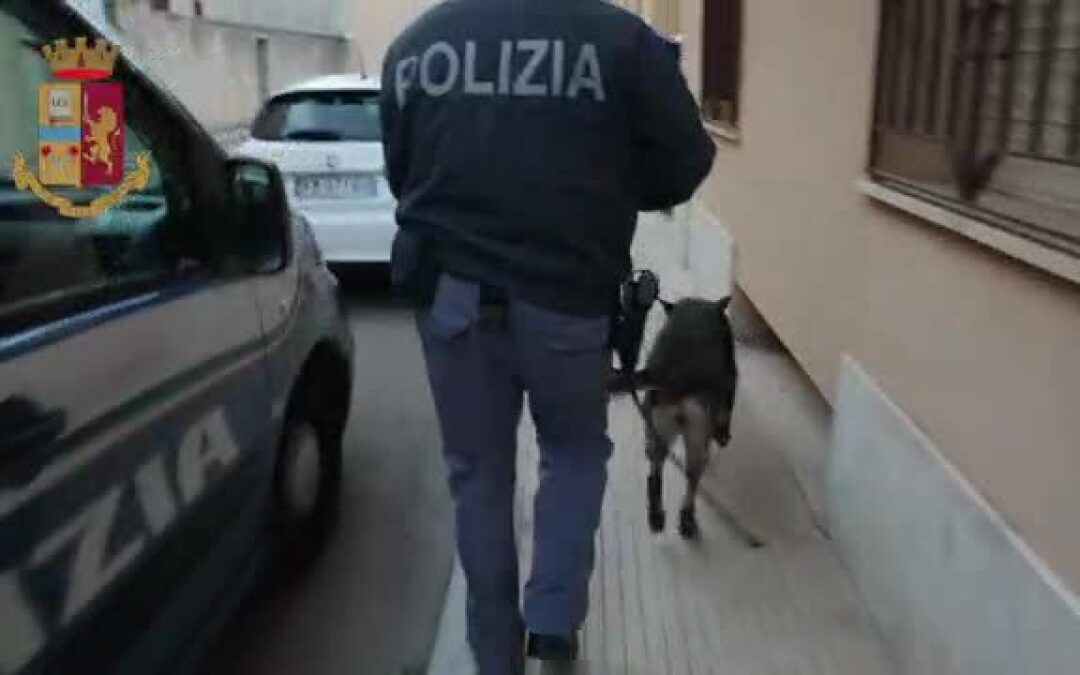 Blitz antimafia nel feudo del boss Messina Denaro