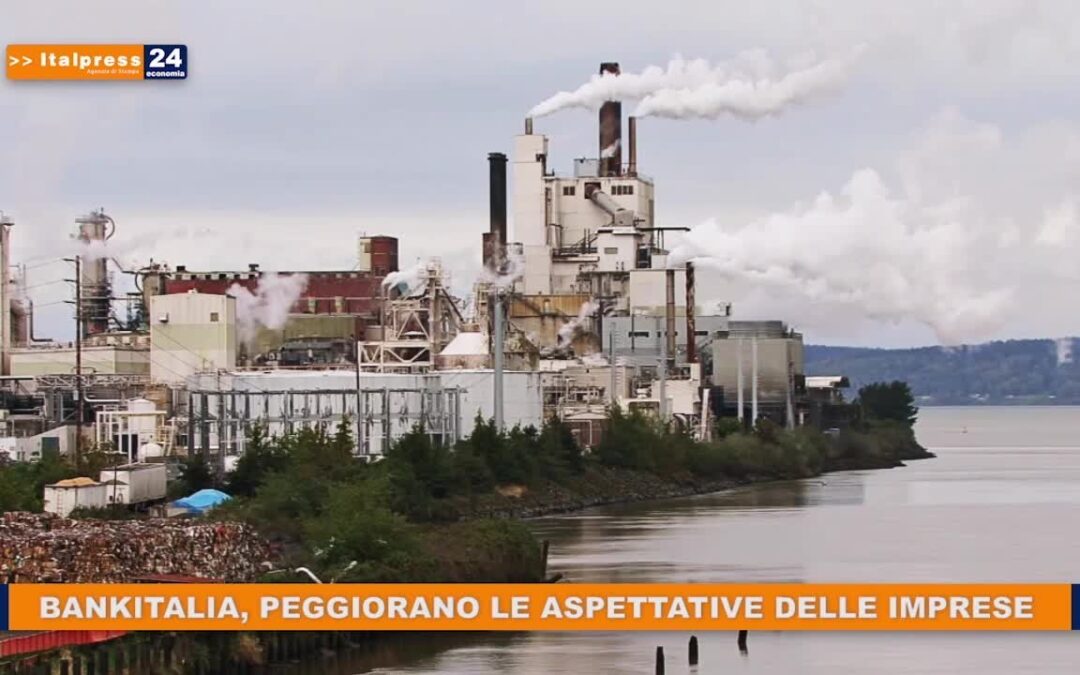 Bankitalia, peggiorano le aspettative delle imprese