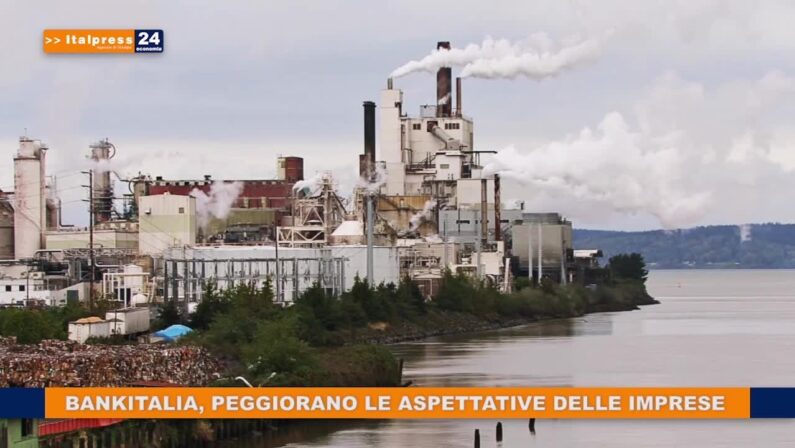 Bankitalia, peggiorano le aspettative delle imprese