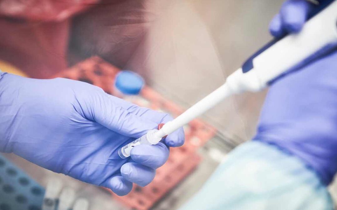 Coronavirus in Puglia, 1.696 nuovi casi e 17 morti