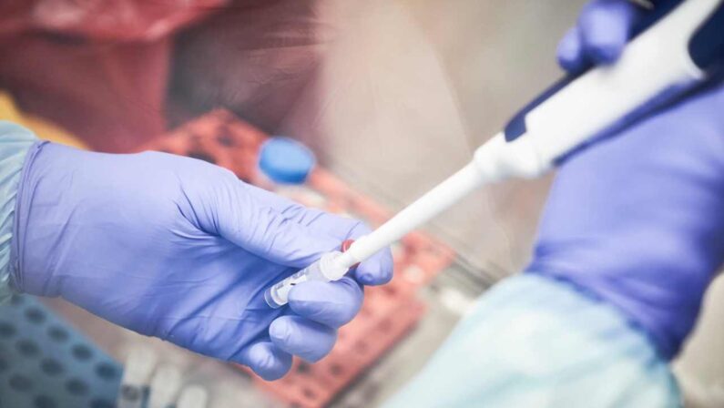 Coronavirus, muore una donna all'ospedale "Pugliese" di Catanzaro