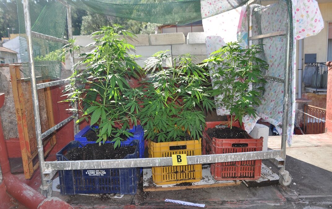 Cava de’ Tirreni, coltivava droga nel sottotetto: arrestato