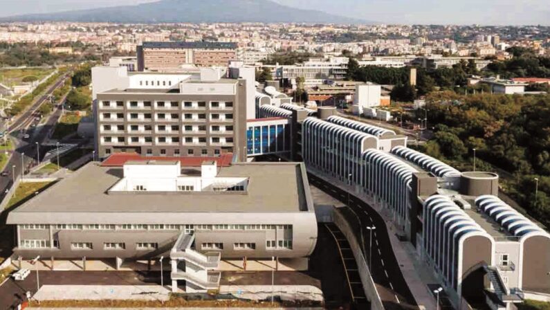 Studi pediatrici, a Catania il primo hub del Centro-Sud