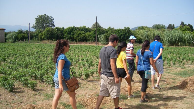 Valle del Marro, ennesima minaccia: settima intimidazione in due mesi