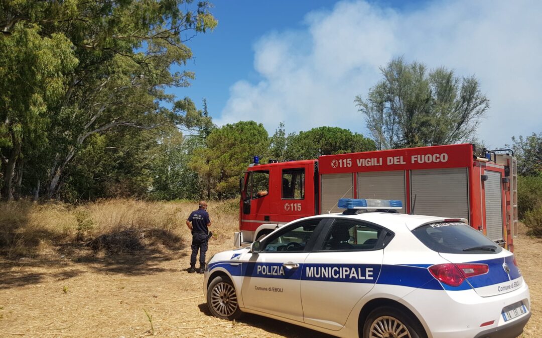 Eboli, paura per un incendio in pineta