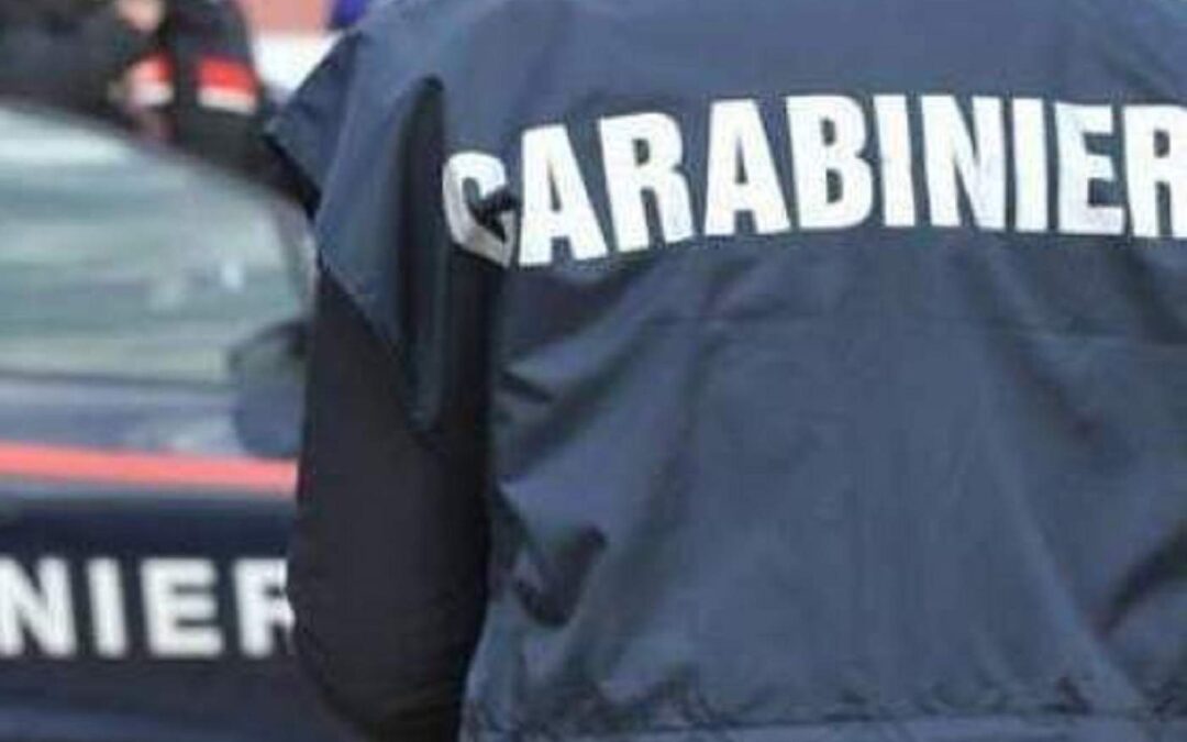 Coltivavano marijuana in un’area demaniale, quattro arresti in provincia di Reggio Calabria