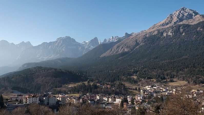 Trentino, catturato orso dopo l’aggressione a un carabiniere