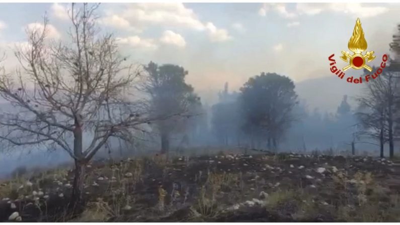 Incendi, 34589 interventi dei vigili del fuoco dal 15 giugno