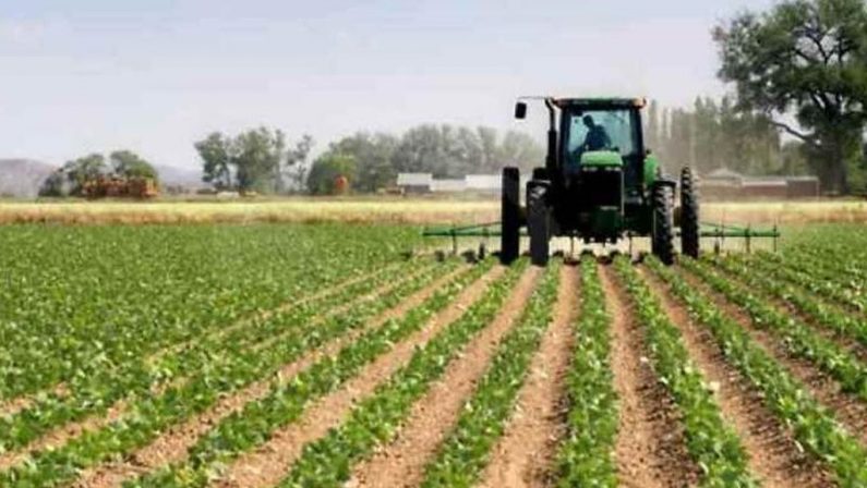 Caporalato in azienda agricola nel Milanese, 7 denunciati