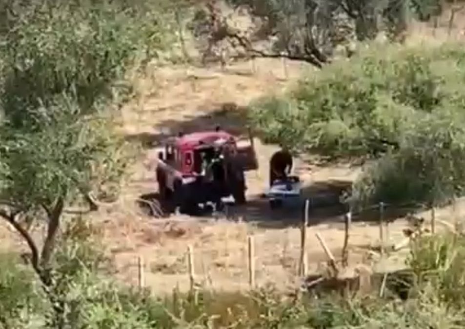 Morte Viviana Parisi e Gioele, nuovo sopralluogo per ricerca di altri resti del bimbo