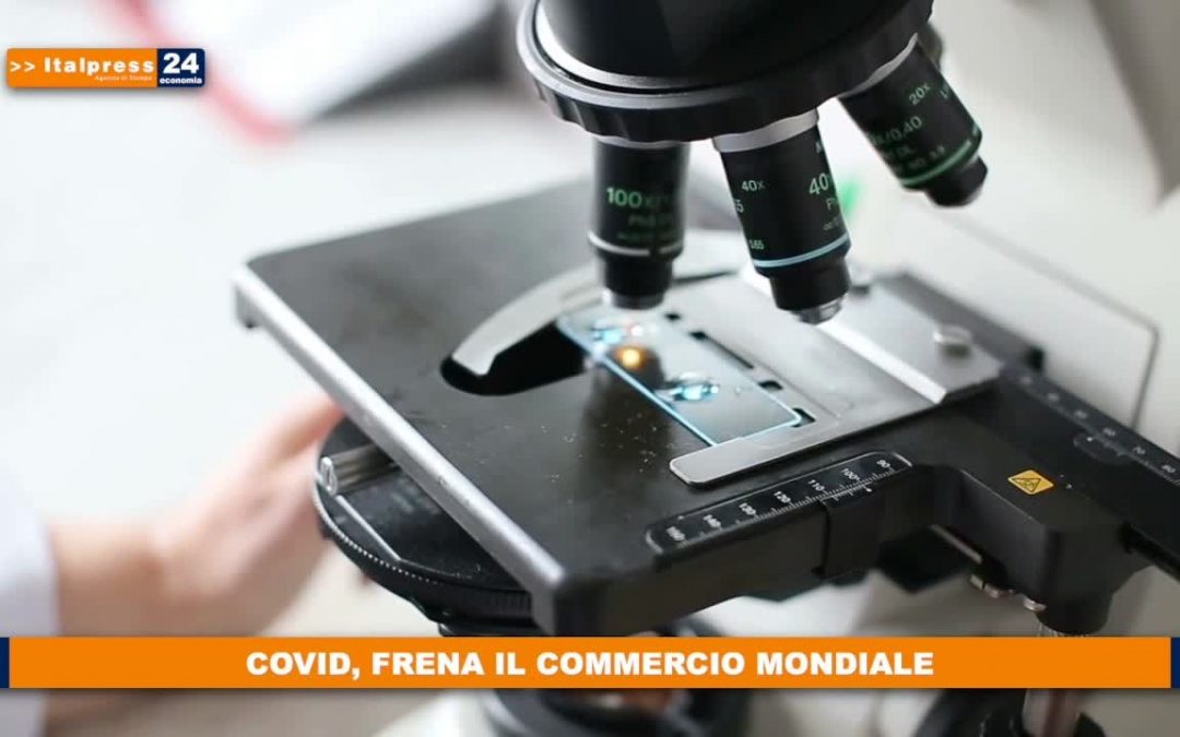 Covid, frena il commercio mondiale