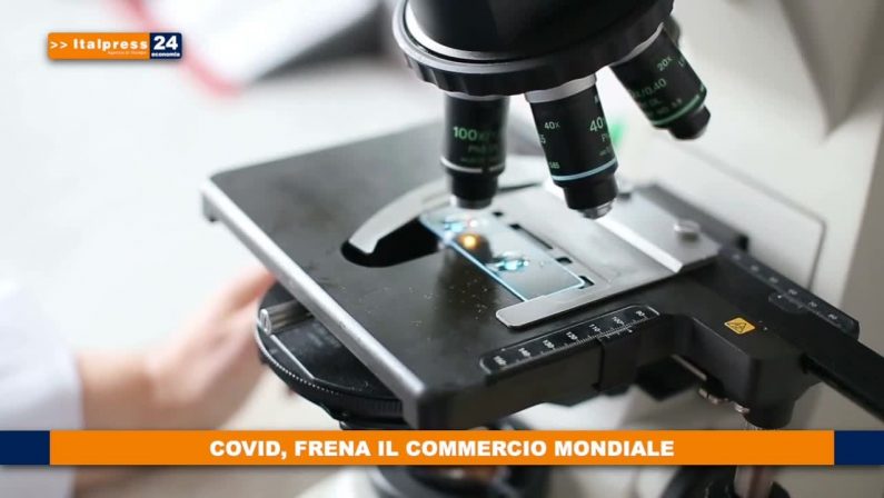 Covid, frena il commercio mondiale