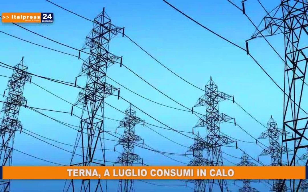 Terna, a luglio consumi in calo