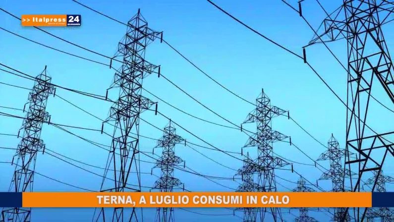 Terna, a luglio consumi in calo