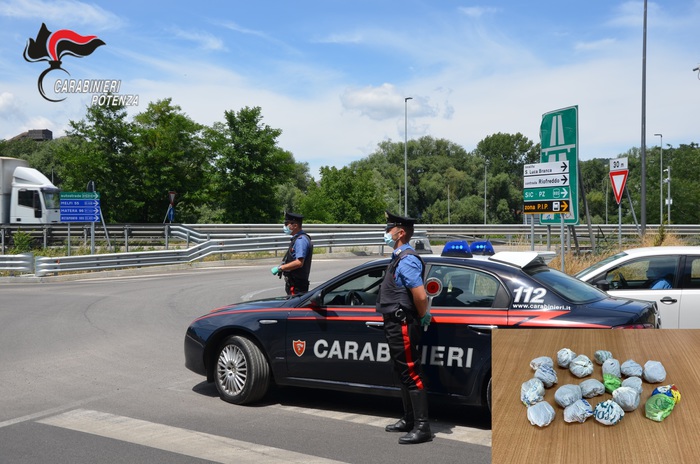 I carabinieri di Potenza sono stati coadiuvati da un’unità cinofila del nucleo di Tito; nel riquadro i 19 involucri di marijuana sequestrati