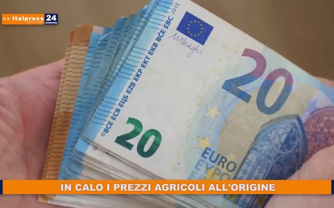 In calo i prezzi agricoli all’origine
