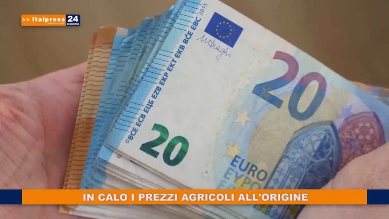 In calo i prezzi agricoli all’origine