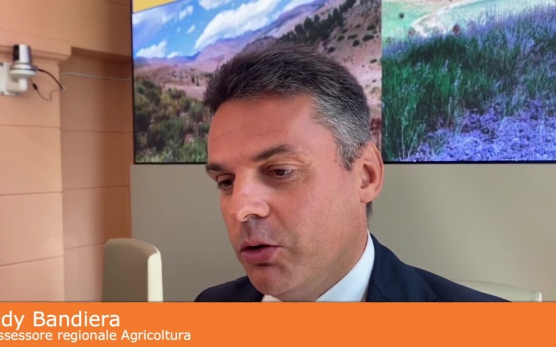 Agricoltura, Sicilia prima per giovani imprenditori Under 35