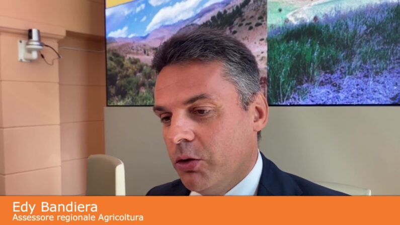 Agricoltura, Sicilia prima per giovani imprenditori Under 35