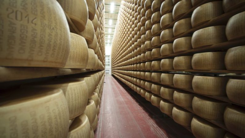 Il Consorzio Parmigiano Reggiano alla Fiera Millenaria di Gonzaga