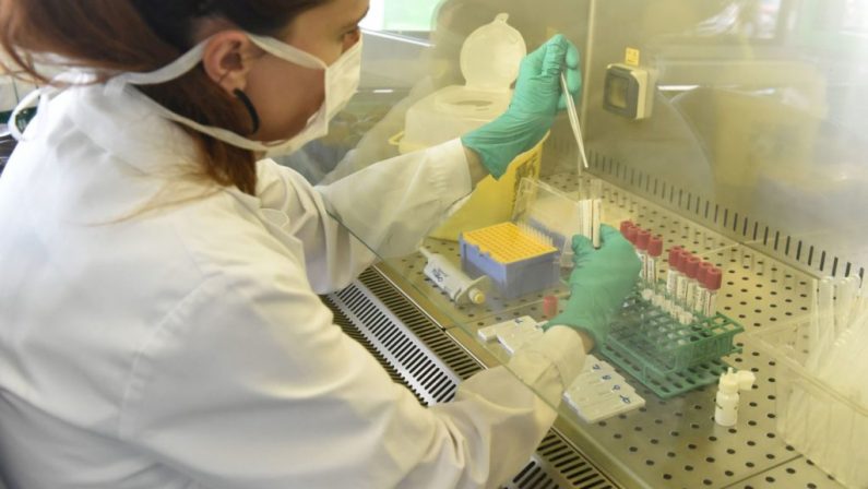 Coronavirus in Italia, 1.695 nuovi positivi e 16 decessi nelle ultime 24 ore: oltre 31mila i casi attivi