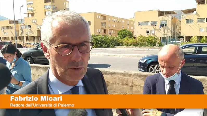 Palermo, trenta alberi per riqualificare lo Zen 2
