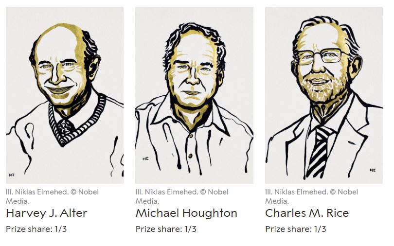 Il Nobel per la Medicina assegnato a tre virologi per studi sull’Epatite C