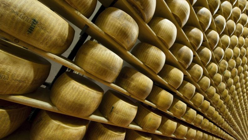 Parmigiano Reggiano, oltre 5 mila visitatori per “Caseifici Aperti”