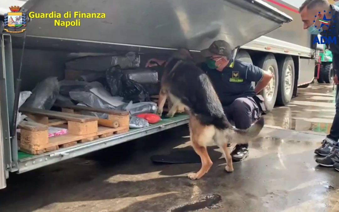 Sequestrati al porto di Napoli 130 kg di hashish, due arresti