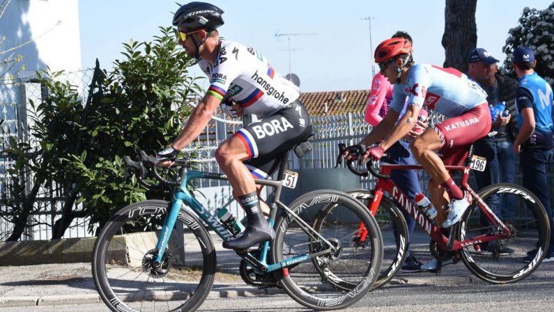 Sagan vince in solitaria la 10a tappa del Giro, Almeida sempre rosa