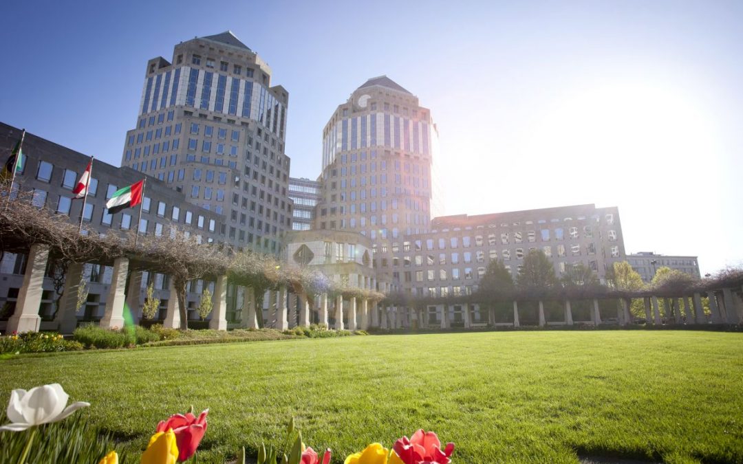 Procter&Gamble, il futuro è green
