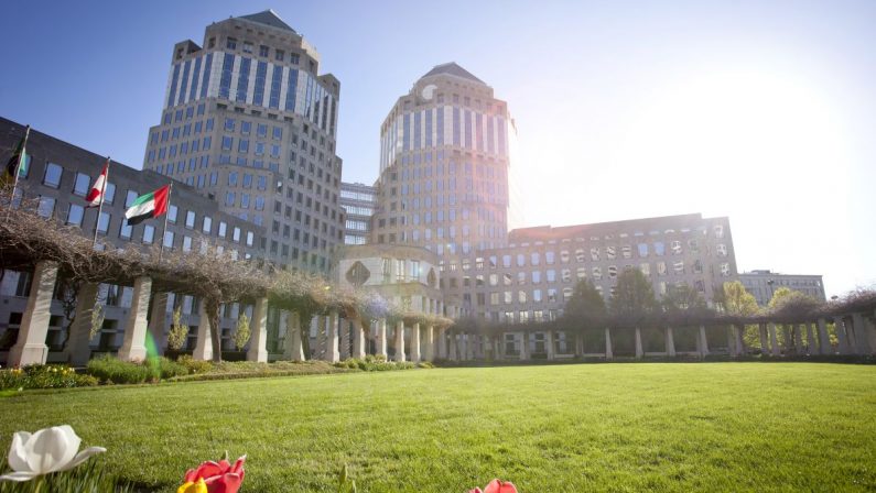 Procter&Gamble, il futuro è green