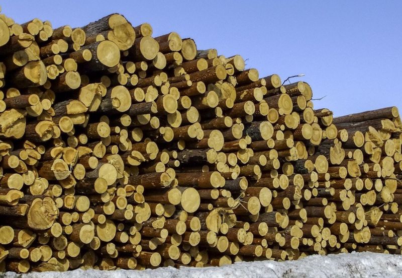 Federlegnoarredo, filiera al top in Europa per sostenibilità