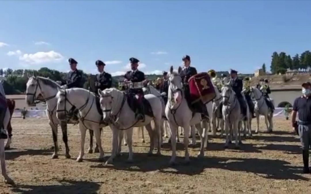 Al via ad Ambelia la Fiera mediterranea del cavallo