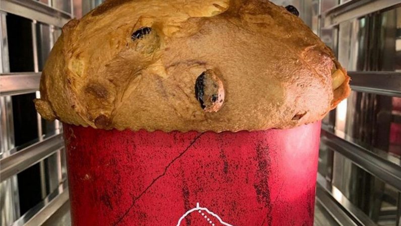 A Reggio Calabria la tappa del sud per le selezioni della Coppa del Mondo del Panettone