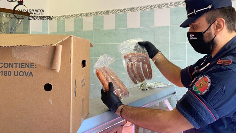 Carne scaduta in macelleria, sequestri e sanzioni nel Cosentino