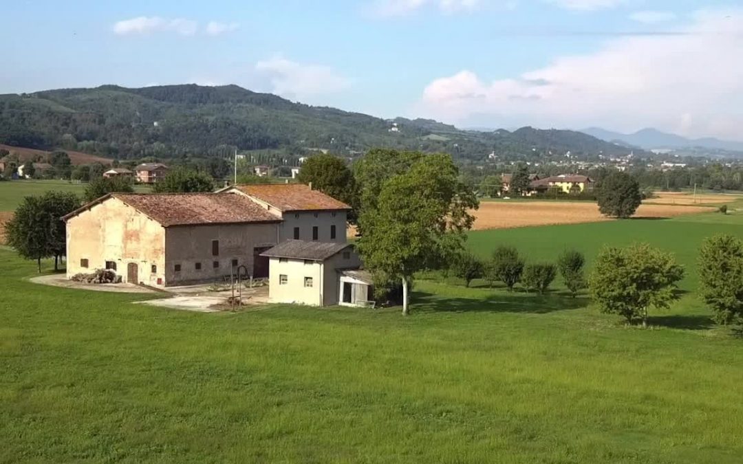 Turismo, Parmigiano Reggiano lancia la sua “Experience”