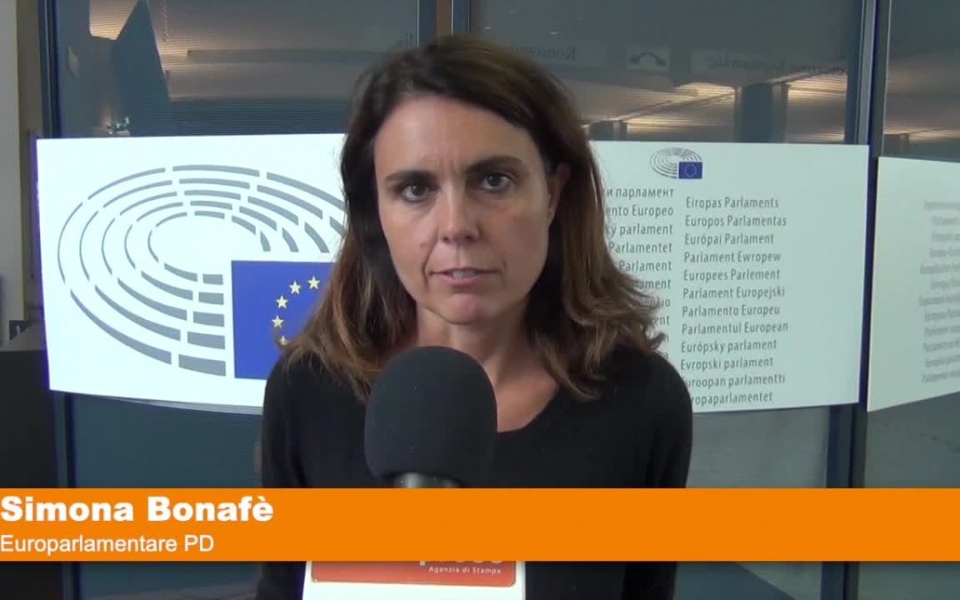 Bonafè “Parlamento Ue vuole taglio emissioni più netto”